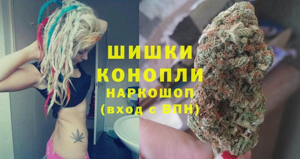 крисы Магадан