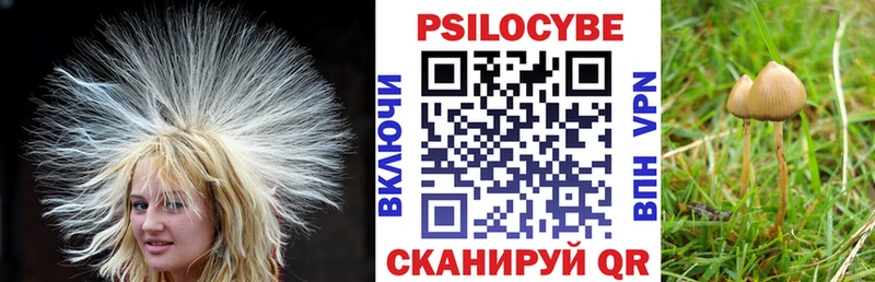 Псилоцибиновые грибы мицелий  купить наркотик  Венёв 